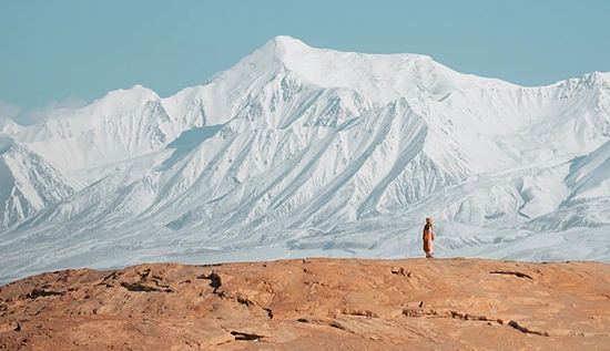 你可以不成功，但是不能不成长
